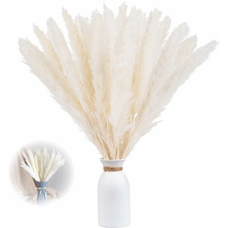 Herbe de pampa séchée Lot de 15, 43 cm Décoration de vases de fleurs séchées artificielles, décoration d'herbe de pampa et fleurs séchées, herbe de pampa naturelle, herbe de pampa séchée, roseau séché (blanc)