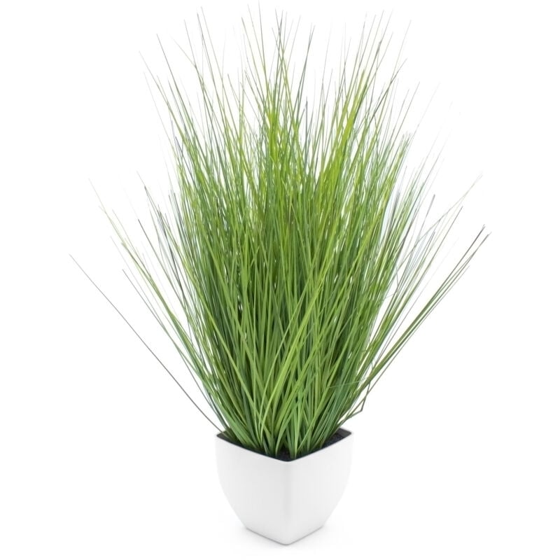 Herbe isolepsis en pot - env. 80 cm - herbe verte en pot blanc (grand)