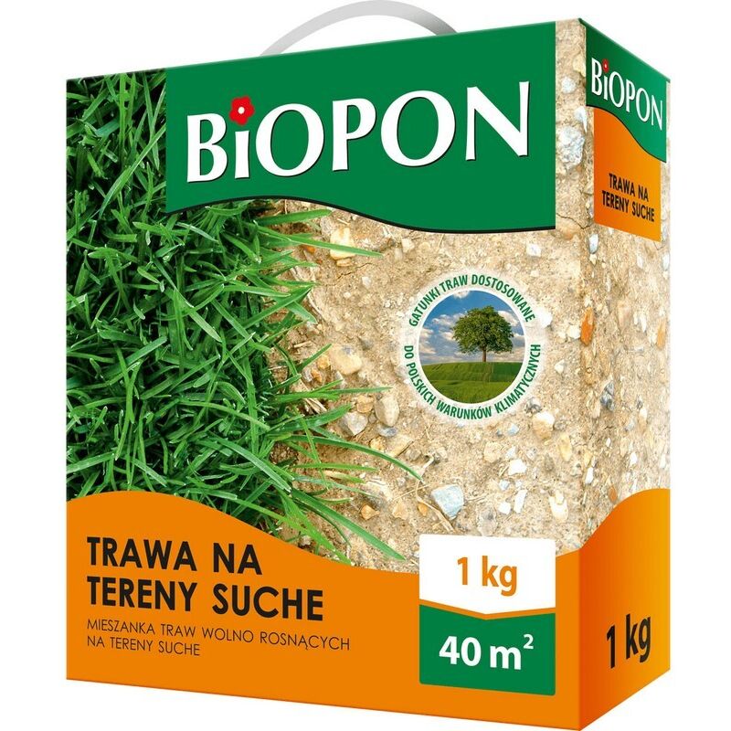 Herbe Pour Zones Sèches 1 Kg