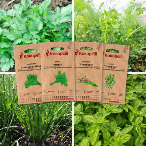 Herbes aromatiques - 4 sachets de graines bio à semer