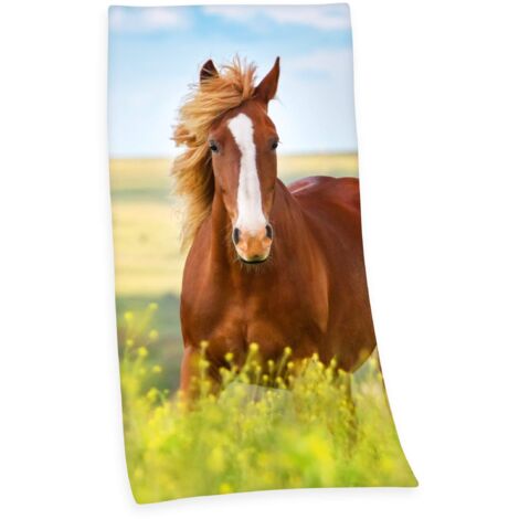Herding 6124206516 Panno di Velluto Cavallo, Cotone, Multicolore, 150 x 75 cm