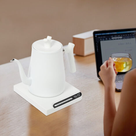 Hervidor eléctrico, hervidor de agua, hervidor de agua de acero inoxidable 304, hervidor eléctrico con filtro de té, sin plástico en contacto con el agua, preparador de té caliente