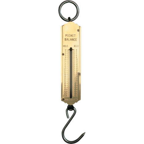 Hesse Taschenfederwaage 25 kg