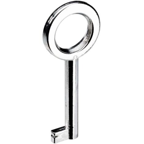 Hettich Buntbart-Schlüssel vernickelt glanz 65 x 4 mm Stahl, 1 Stück Möbelbeschläge