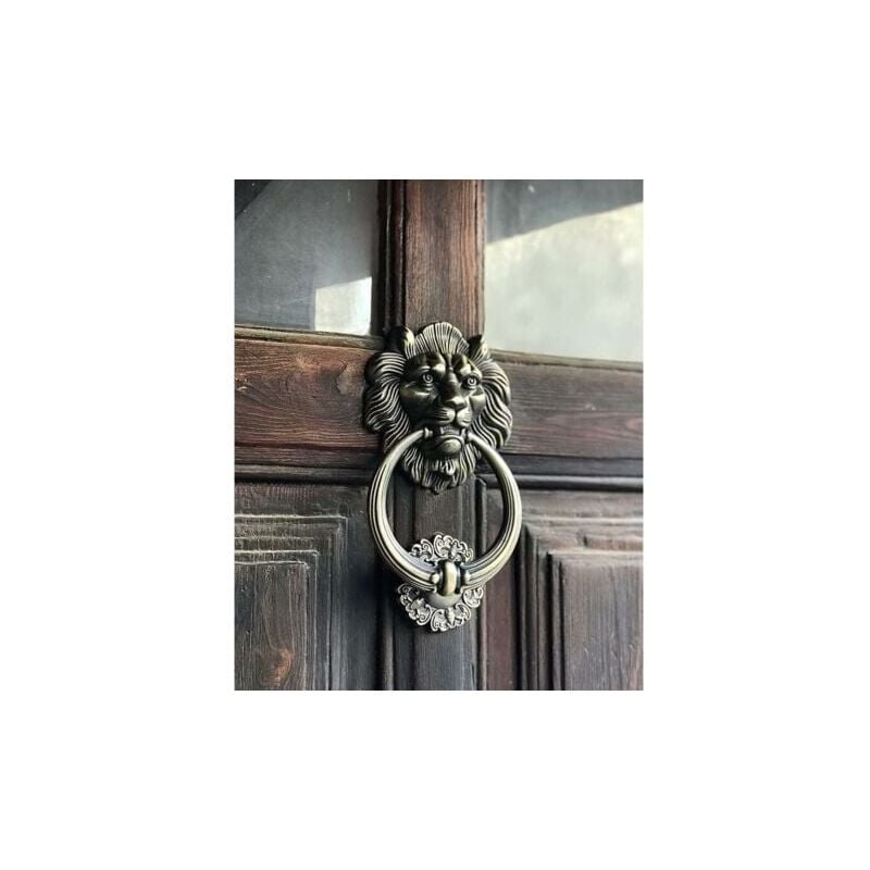 SNQ - Heurtoir de porte en forme de tête de lion, bronze