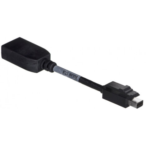 Hewlett Packard HP CABLE MINI DP TP DP ADAPTER - Adapter (703216-001)