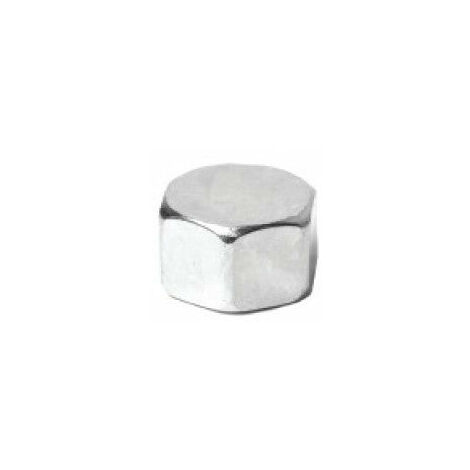 Hexagonale weibliche Stahlkappen 300