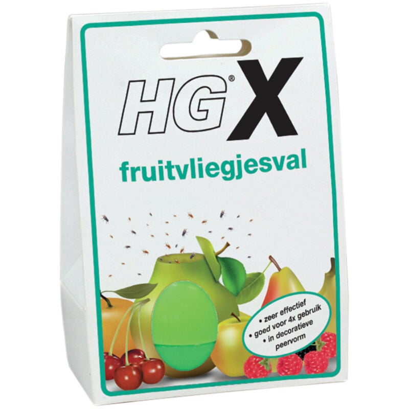HG - Piège à mouches des fruits