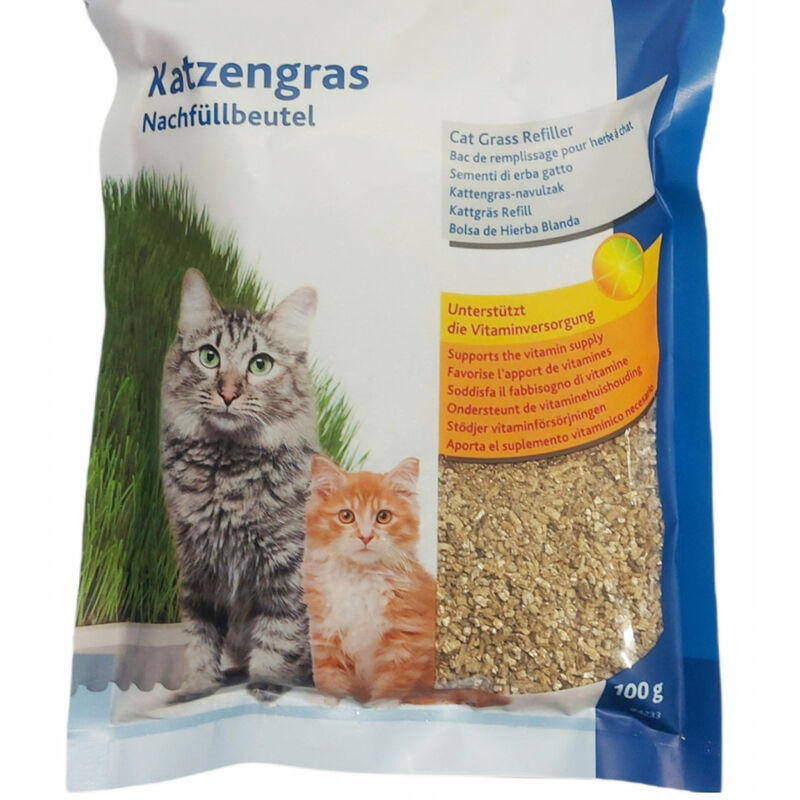 

Hierba gatera suave 100 gr de semillas para cultivar.