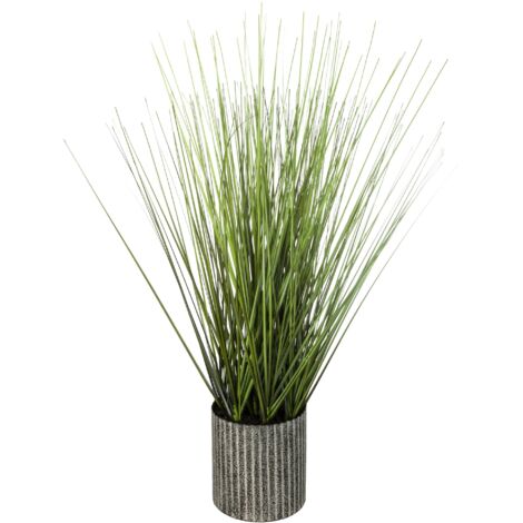 Hierba utilizada olla de metal h45