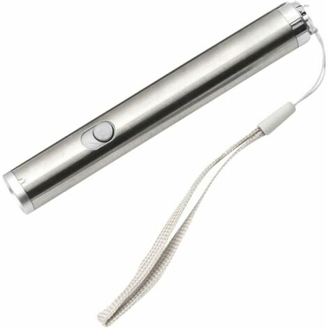 High Brightness LED Flashlight Playing with Red and White Cat Light