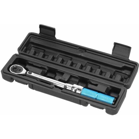 High Precision Chrome Vanadium Steel Torque Wrench with 1/4 Drive 5-25Nm Preset Torque Wrench for Home Auto Repairs with Storage Box, 5-25Nm