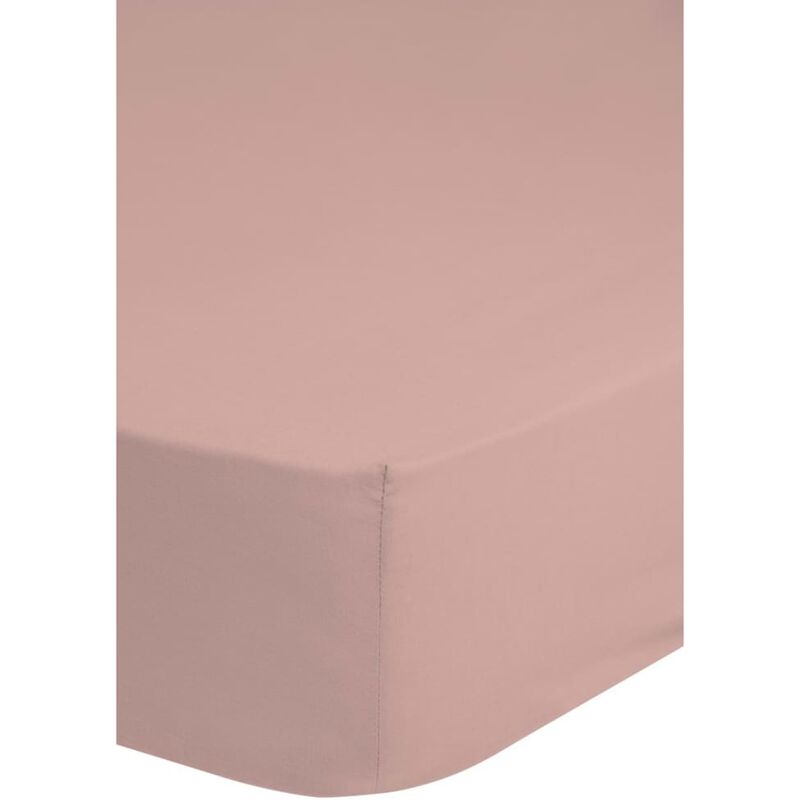 

Sábana bajera ajustable rosa claro 140x200 cm - Rosa - HIP