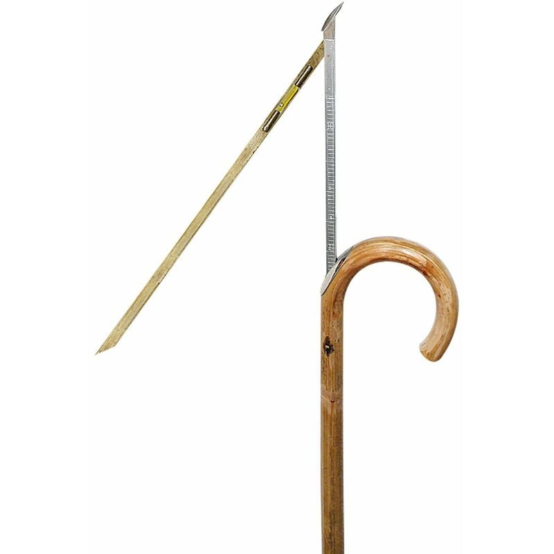 Hippomètre bâton de marche en bois et bulle métallique