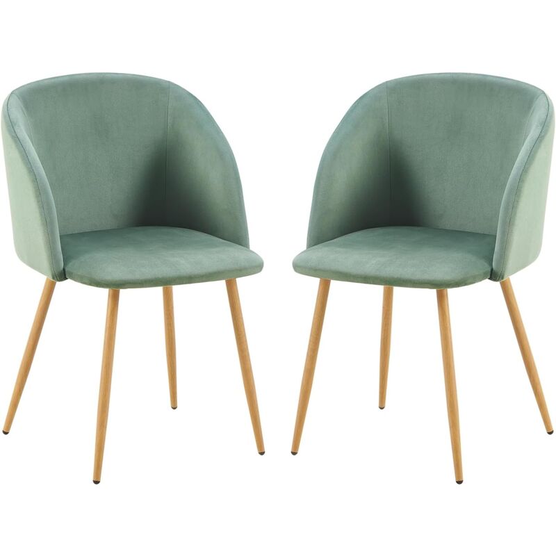 H.j Wedoo - Lot de 2 Chaise de Salle à Manger, Siège rembourrée, Chaise de Salle à Manger Chaise de Cuisine Rembourrée Assise en Velours,Cactus