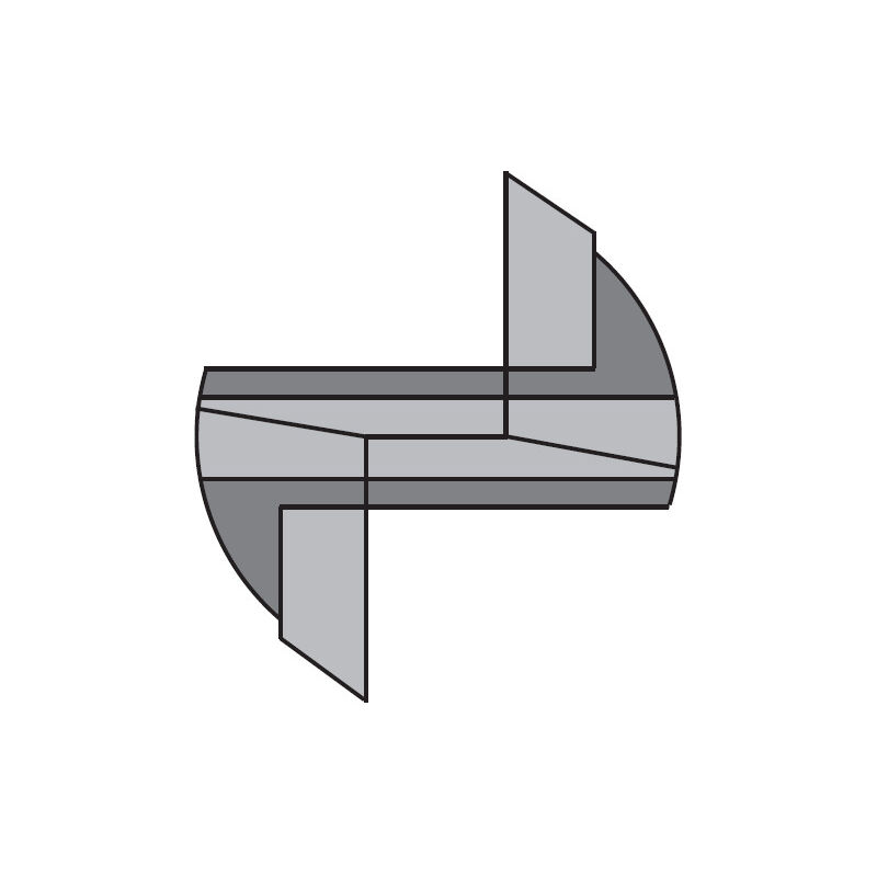 CMT - 170.250.11 hm-fraise a rainer D=25X25 Z=2 S=M12X1 dr.
