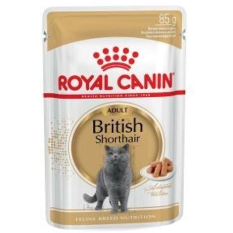 HÐmedo Royal Canin Britisch -Shorthair Pat, Box 12 Umschlge x 85 g