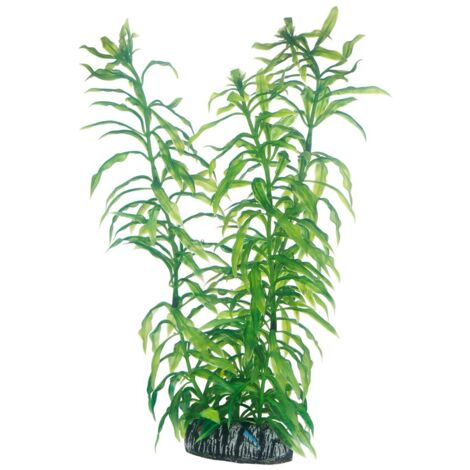 Hobby Heteranthera, Plante d'aquarium artificielle pour la décoration - 25 cm