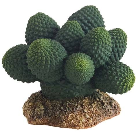Hobby Kaktus Atacama, Höhe 7 cm