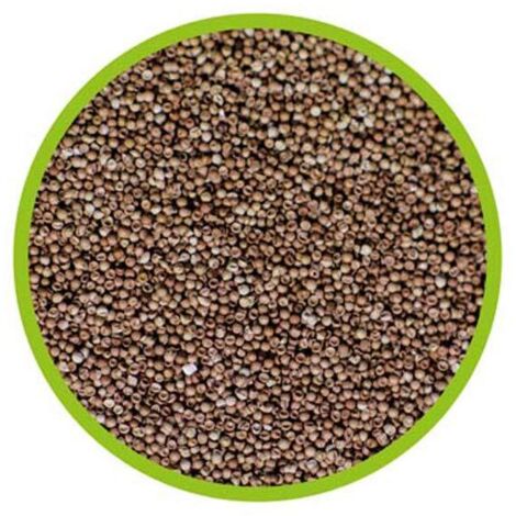 Hobby OEuf d'Artémia pour Aquariophilie 150 ml