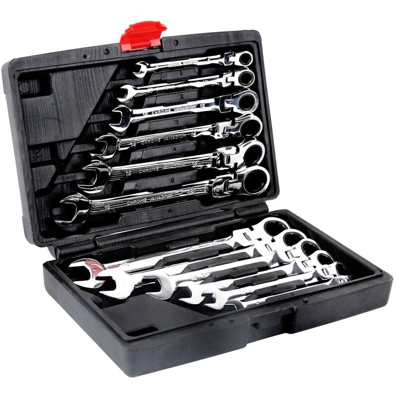 Hofuton Jeu de 12 Clé à Cliquet Métrique Rochet Molette Réversible Mixtes Outil