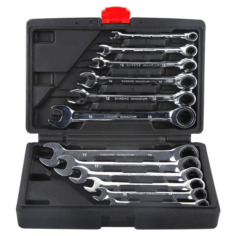 Wyctin - Hofuton Jeu de 12Pcs Clés Mixtes à Oeil Clés Plate à Cliquet 8mm-19mm Malette