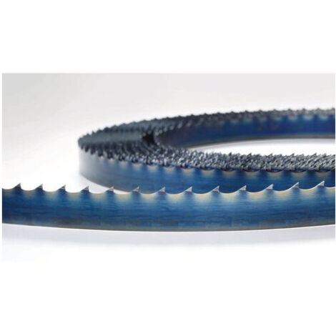 Hoja de sierra 12,0 x 0,5 x 2.490 mm / 4 ZZ para madera - cortes rectos  HOLZSTAR 5160353
