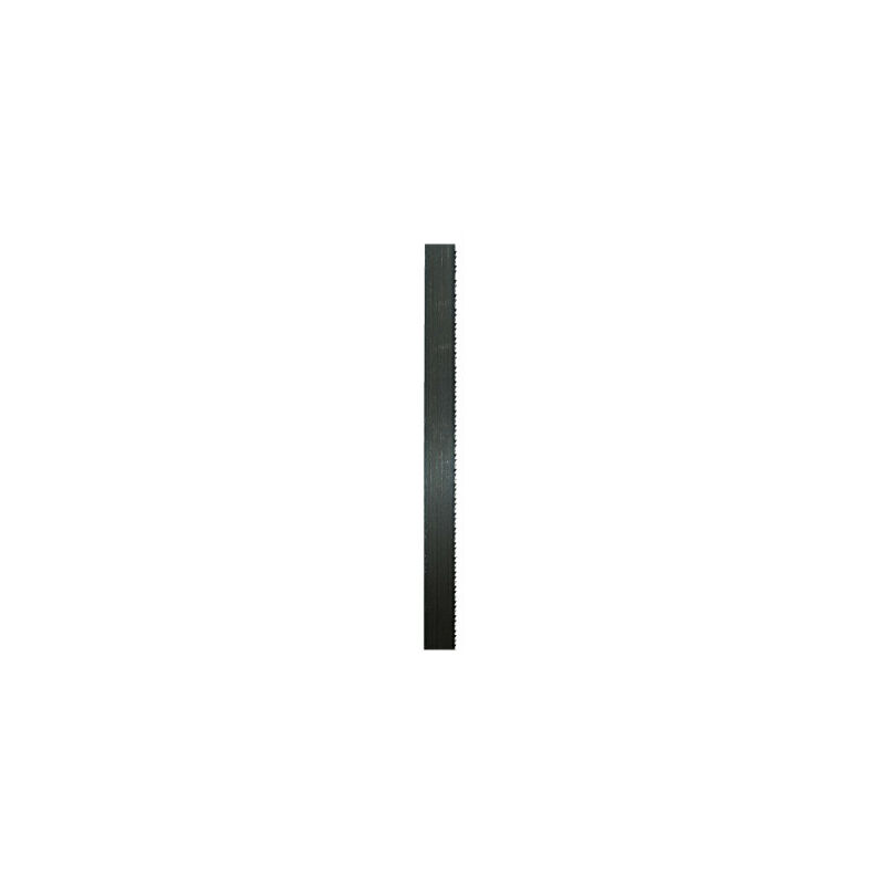 

Scheppach Access - Hoja de sierra de cinta SCHEPPACH - 14 dientes - 3 x 0,45 x 1490 mm - 73220705