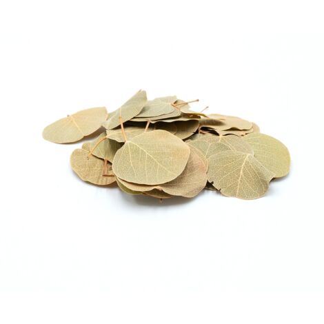 Hojas de moneda BioCoin Leafs 15 g