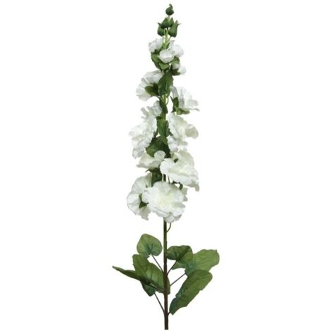 HOLLYHOCK IN STELO