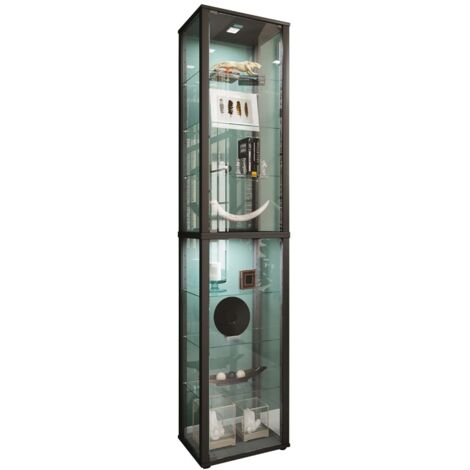 Holz Glas Stand Vitrine Kavisa XL