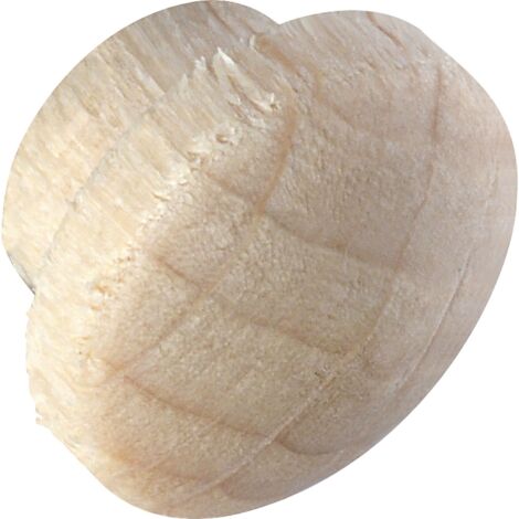 Holzabdeckkappe ø 12 mm, Zapfen ø 8 mm, Zapfenlänge 4 mm, Buche roh