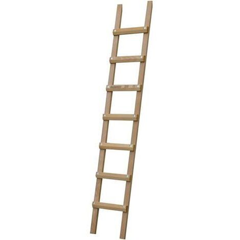 Holzdachleiter mit 9 Sprossen – Länge 2,50 m - B3125025