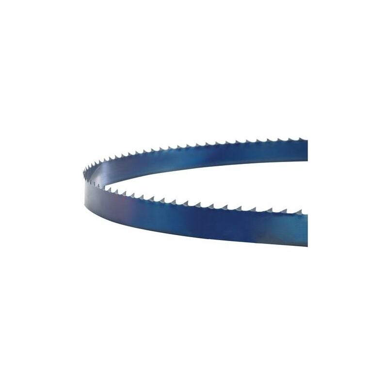 Lame de scie, HBS 231-1, 10x0.5x1575, 4ZZ Énergie du bois 5160012