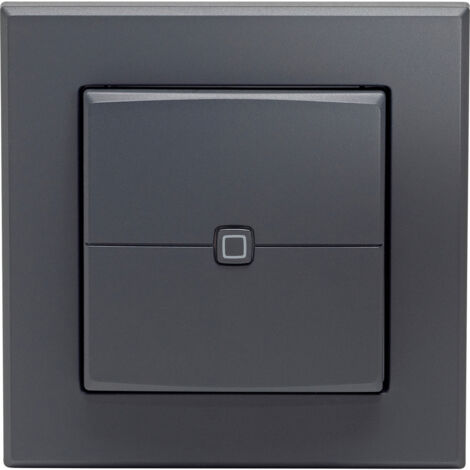 Homematic IP  Wandtaster   HmIP-WRC2-A-2