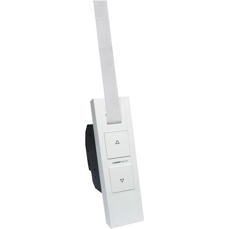 HOMEPILOT 10302345 RolloTron pure DECT Enrouleur de sangle électrique 23 mm Force de traction (max.) 45 kg encastré C545512