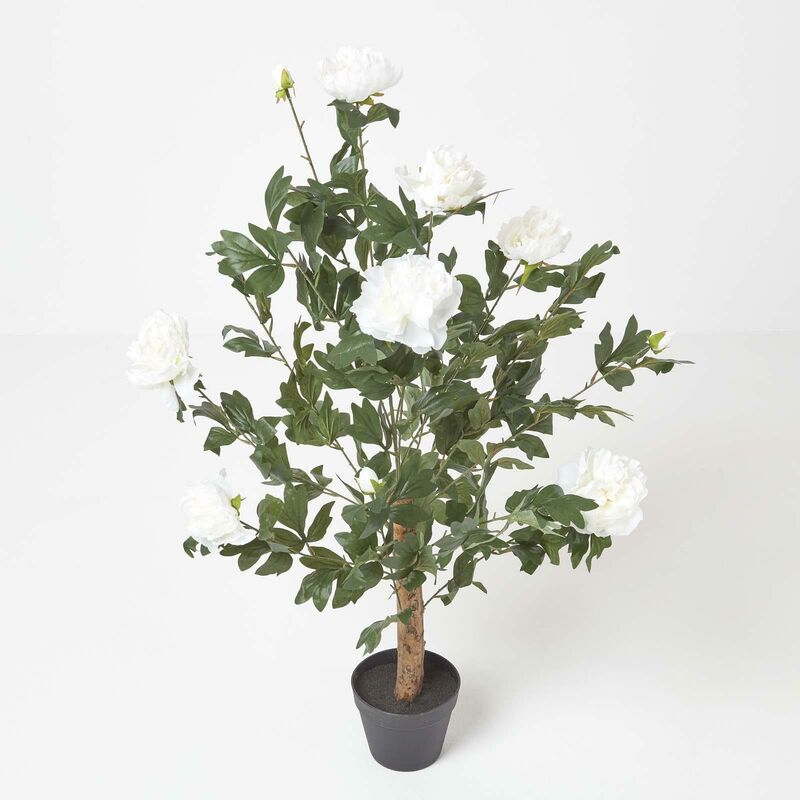 Homescapes - Cream Artificial Peony Tree in Black Pot, 100 cm Tall