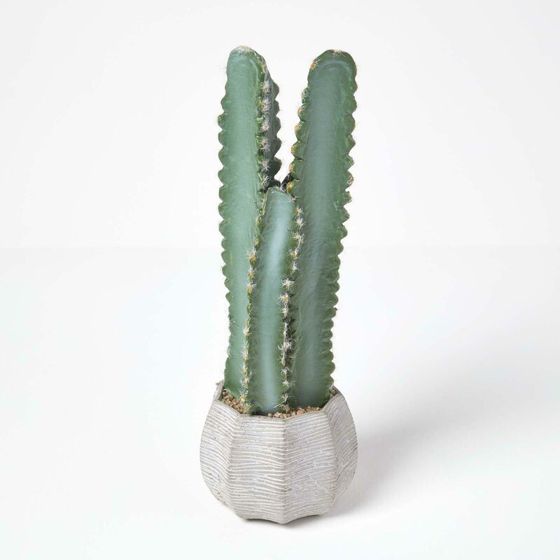Homescapes - Cactus artificiel Hylocereus en pot gris texturé 49 cm - Vert