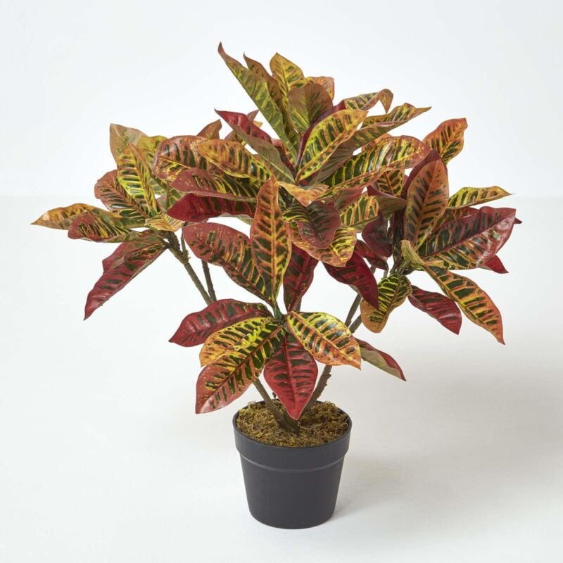 Homescapes - Croton rouge plante rouge et jaune artificielle en pot, 65 cm