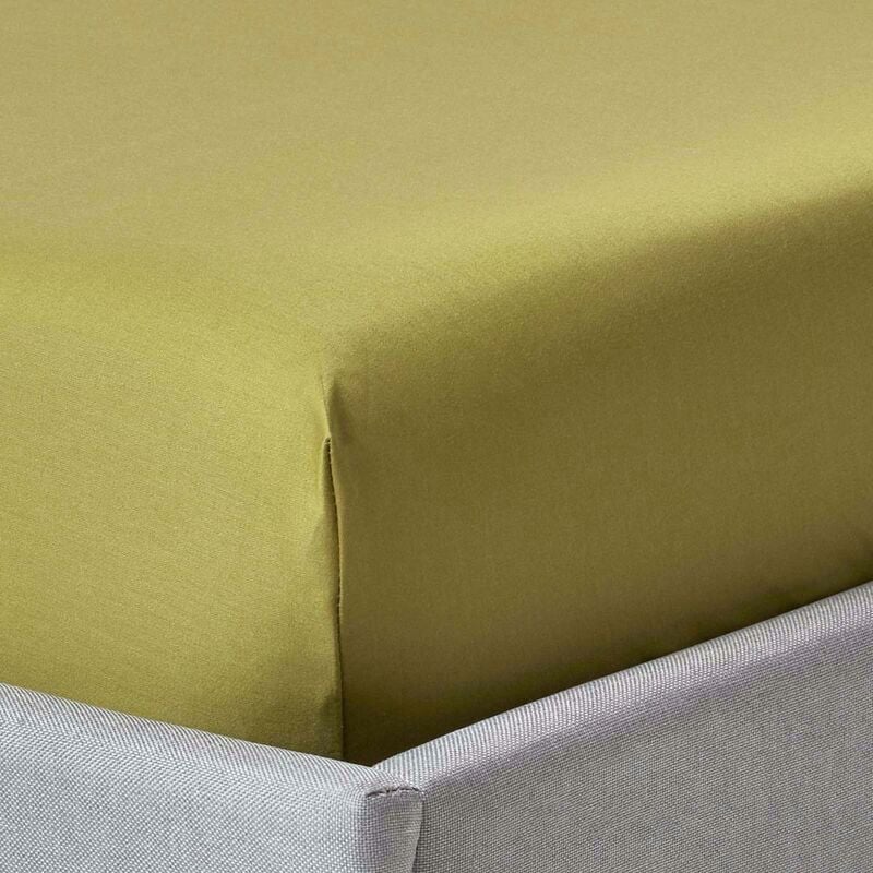 Homescapes - Drap-housse uni Grand Bonnet 100 % coton égyptien 1000 fils Vert Olive 90 x 190 cm