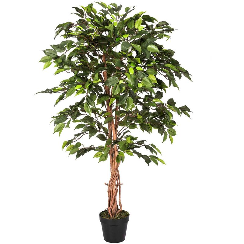 Figuier pleureur Ficus Benjamina Vert en pot 122 cm - Vert - Homescapes