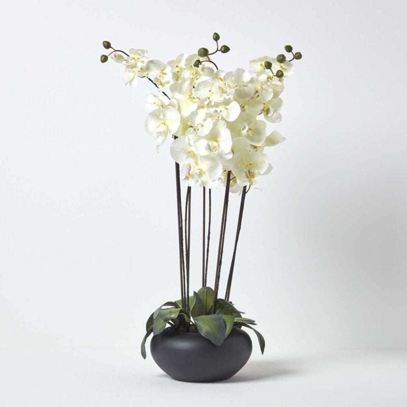 Homescapes - Fleur Artificielle Grand Orchidée Crème en pot Hauteur 79 cm - Crème