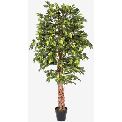 HOMESCAPES Green Artificial Ficus Tree with Twisted Real Wood Trunk, 6 Ft