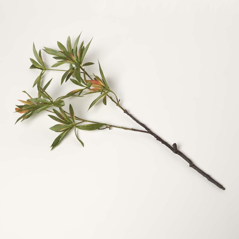 Homescapes - Green Elaeocarpus Leaf Single Stem Spray 92 cm