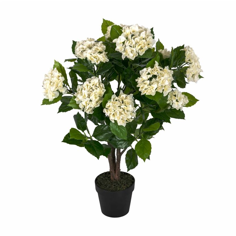 Homescapes Hortensia artificiel crème en pot, 85 cm - Plante verte avec des fleurs crèmes