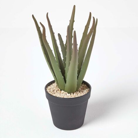 HOMESCAPES Klein Künstliche Echte Aloe Vera in schwarzem Topf, 30 cm hoch