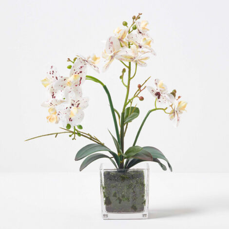 befestigung blumenkasten mauer Blumenkastenhalter verzinkt im 3er Set inklusive Blumentopf, fr Gabio   GABIONA
