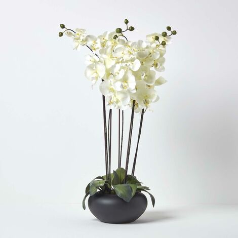 HOMESCAPES Large Oriental Style Cream Orchids in Black Bowl - Natural - Natural