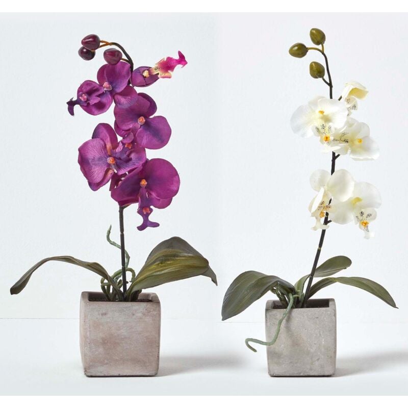 Homescapes - Lot de 2 orchidées artificielles en pot en pierre, 40 cm - Blanc et violet