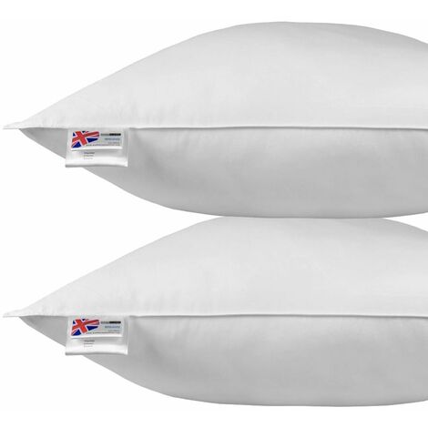 Homescapes – Lot de 2 oreillers en plumes et duvet d'oie 80 x 80 cm – Enveloppe 100% coton – Souple-Moyen – Lavable en machine